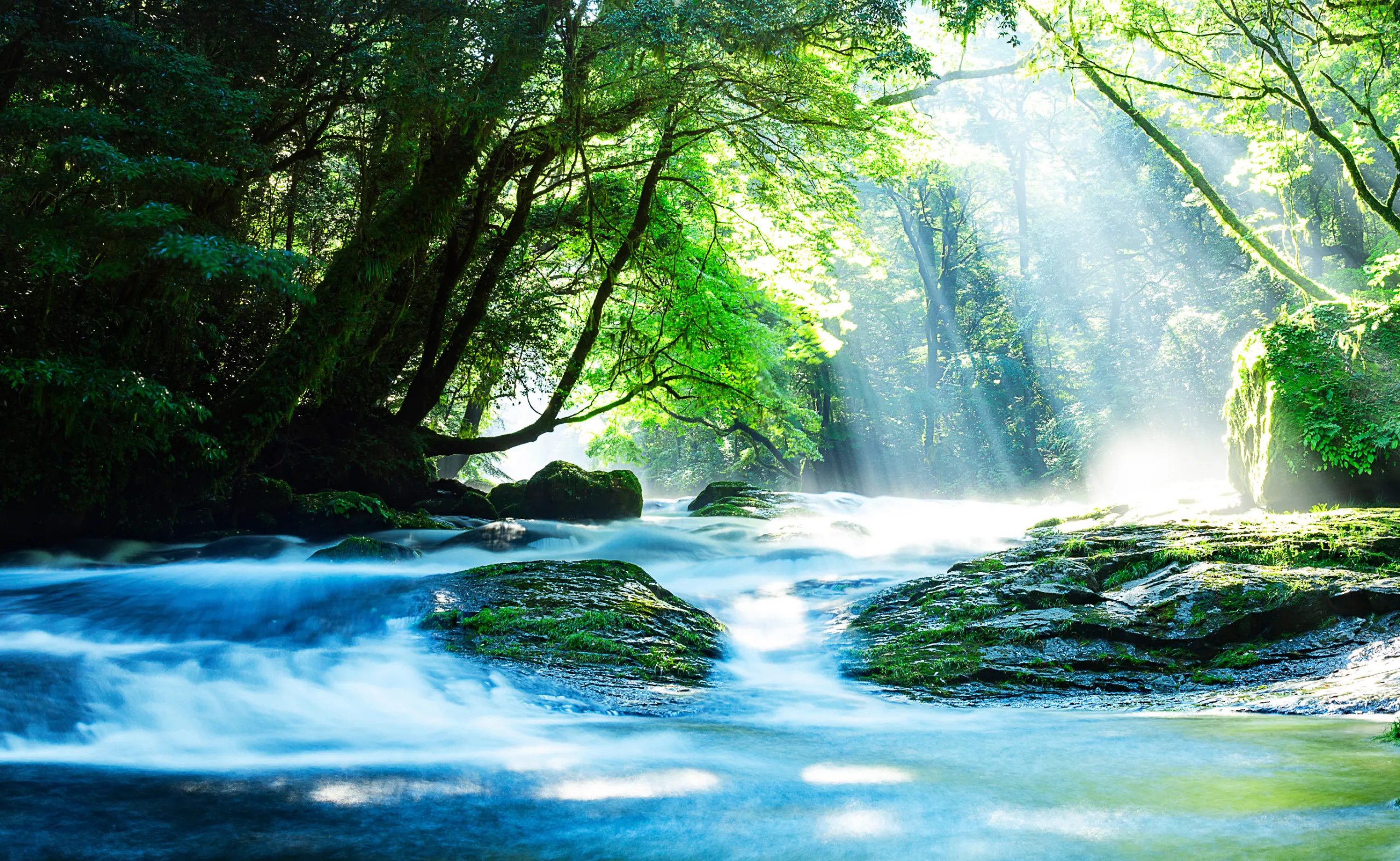 AIAI ChildCare CAMBODIA Image